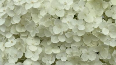 【四毒抜き】気になる言葉