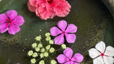 2025年夏　石垣島　女性一人旅　デジタルデトックスしたらTikTokをすることに　⑥