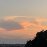 なんだか、すでにニュージーランドに行って帰ってきた氣分