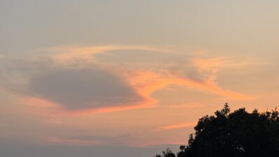 なんだか、すでにニュージーランドに行って帰ってきた氣分