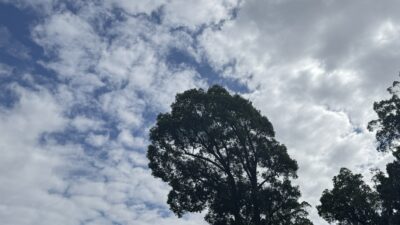 寒川神社へお詣りに