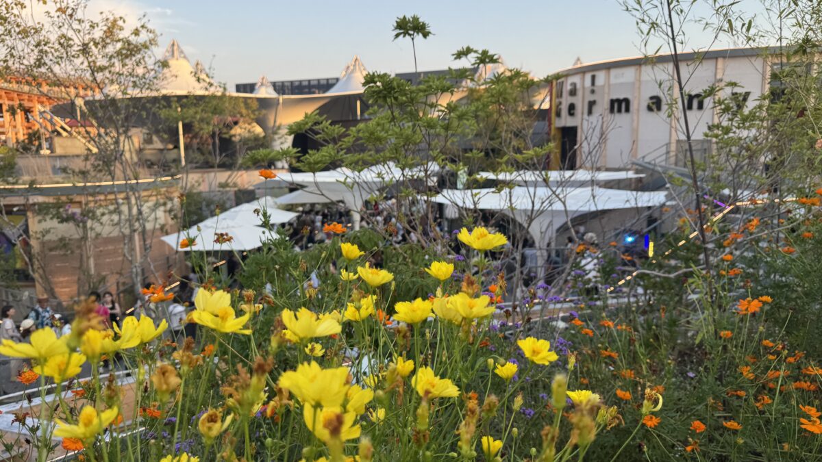 長友佑都選手のアドバイス、未来を見据えてゴールに置きに行くだけ