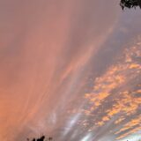 ニュージーランド女性一人旅計画で覚えた英語　Tramping とSuperloo