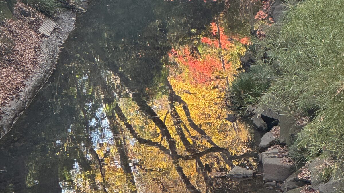 アーティストとして生きる