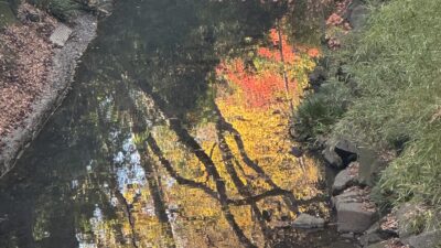 アーティストとして生きる