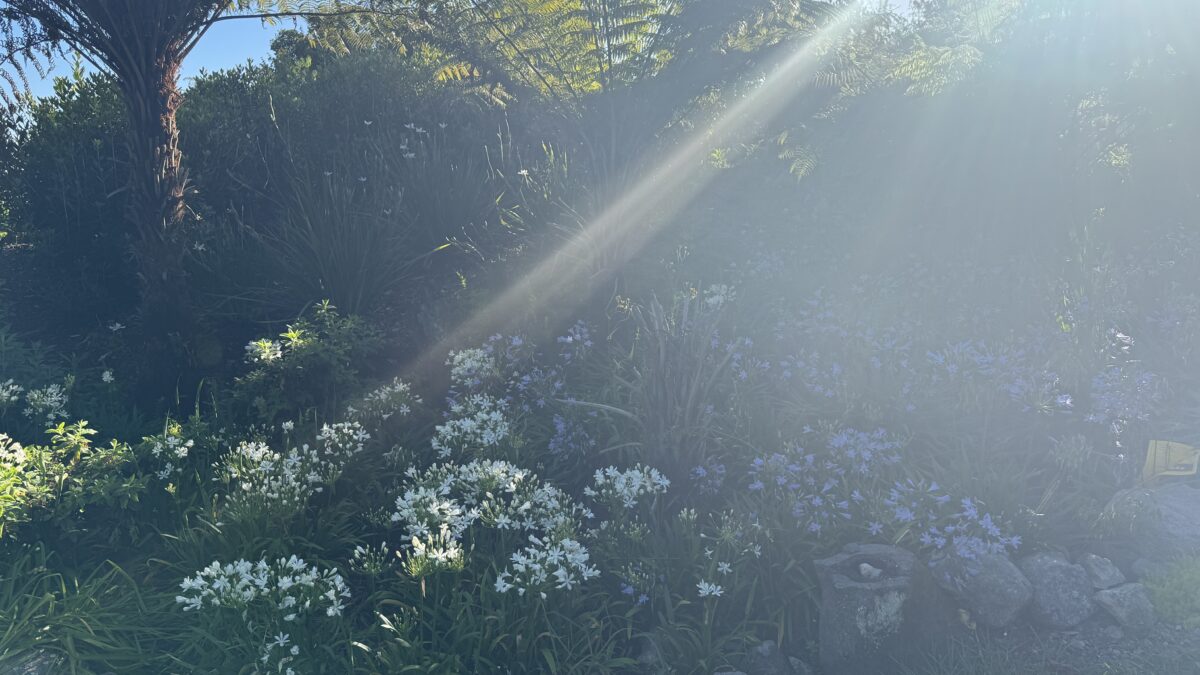 【四毒抜き】【グルテンフリー】旅行の時の食事も、これがあれば大丈夫！