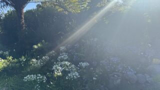 【四毒抜き】【グルテンフリー】旅行の時の食事も、これがあれば大丈夫！