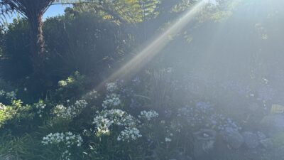 【四毒抜き】【グルテンフリー】旅行の時の食事も、これがあれば大丈夫！