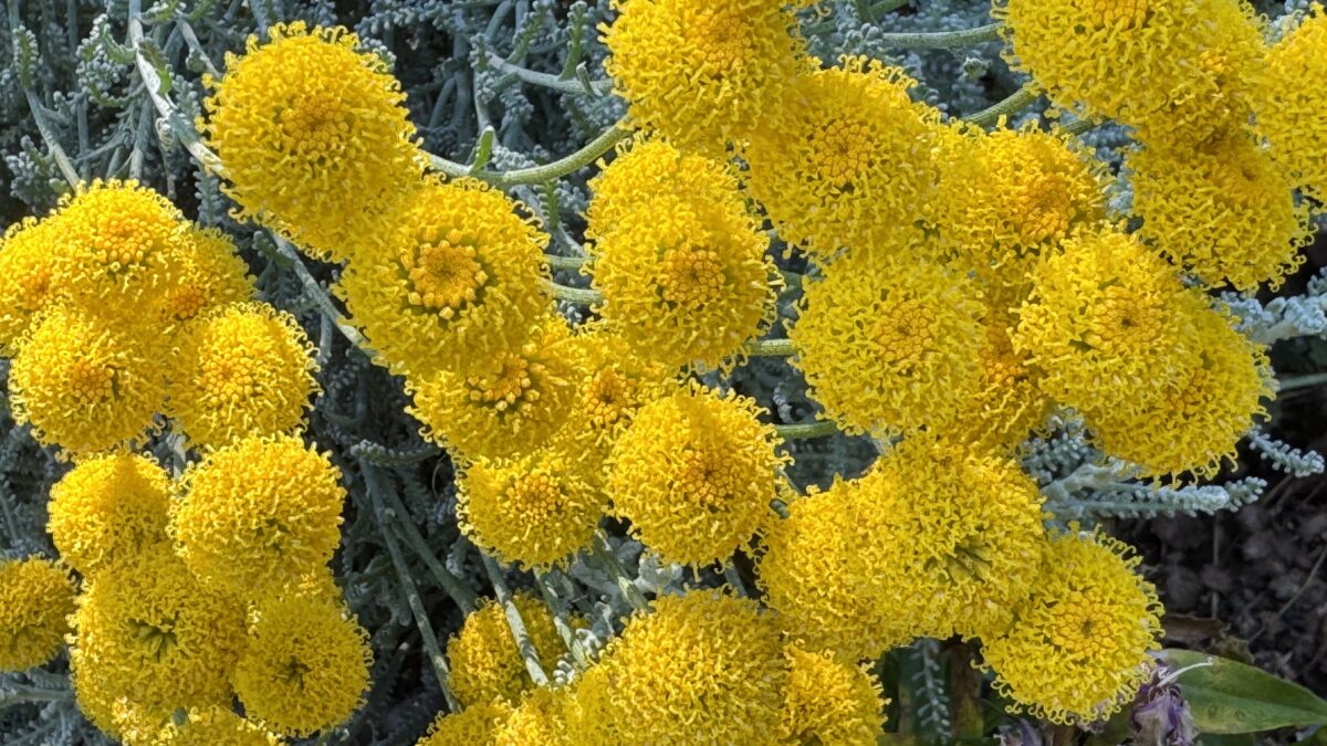 ぶり返すジャッジを手放す方法