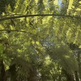 海外旅行での現金はどうしてる？Wiseが超絶便利でした