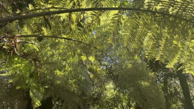 海外旅行での現金はどうしてる？Wiseが超絶便利でした