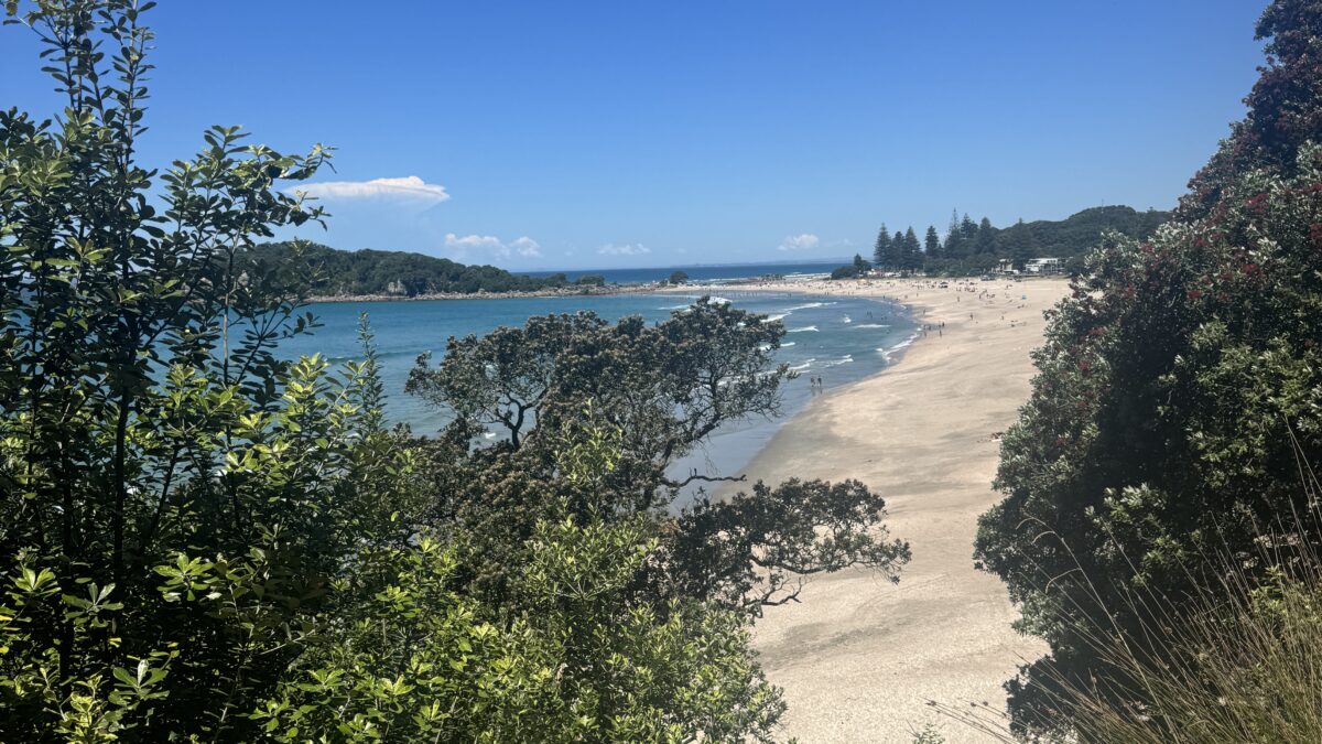 達成感は今の私には必要ない　ー　ニュージーランドの山で感じたこと