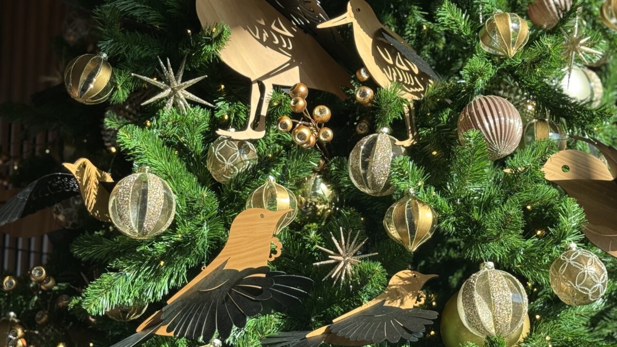 ニュージーランド- 大自然を通じて、本当の自分とつながる女性一人旅