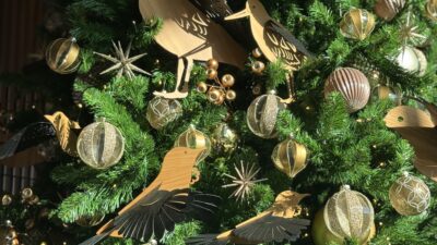 ニュージーランド- 大自然を通じて、本当の自分とつながる女性一人旅