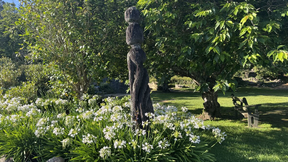 ニュージーランド6泊8日の旅　シンプリスト見習いの荷物