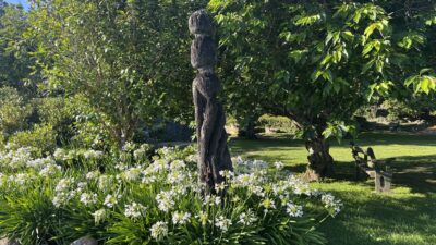 ニュージーランド6泊8日の旅　シンプリスト見習いの荷物